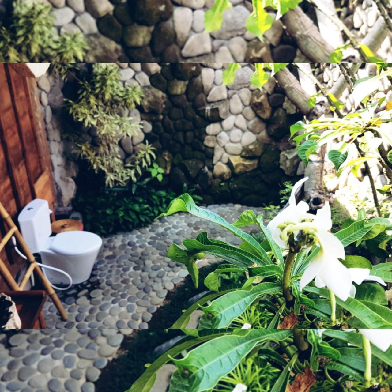 Melati Bali Homestay Canggu Zewnętrze zdjęcie